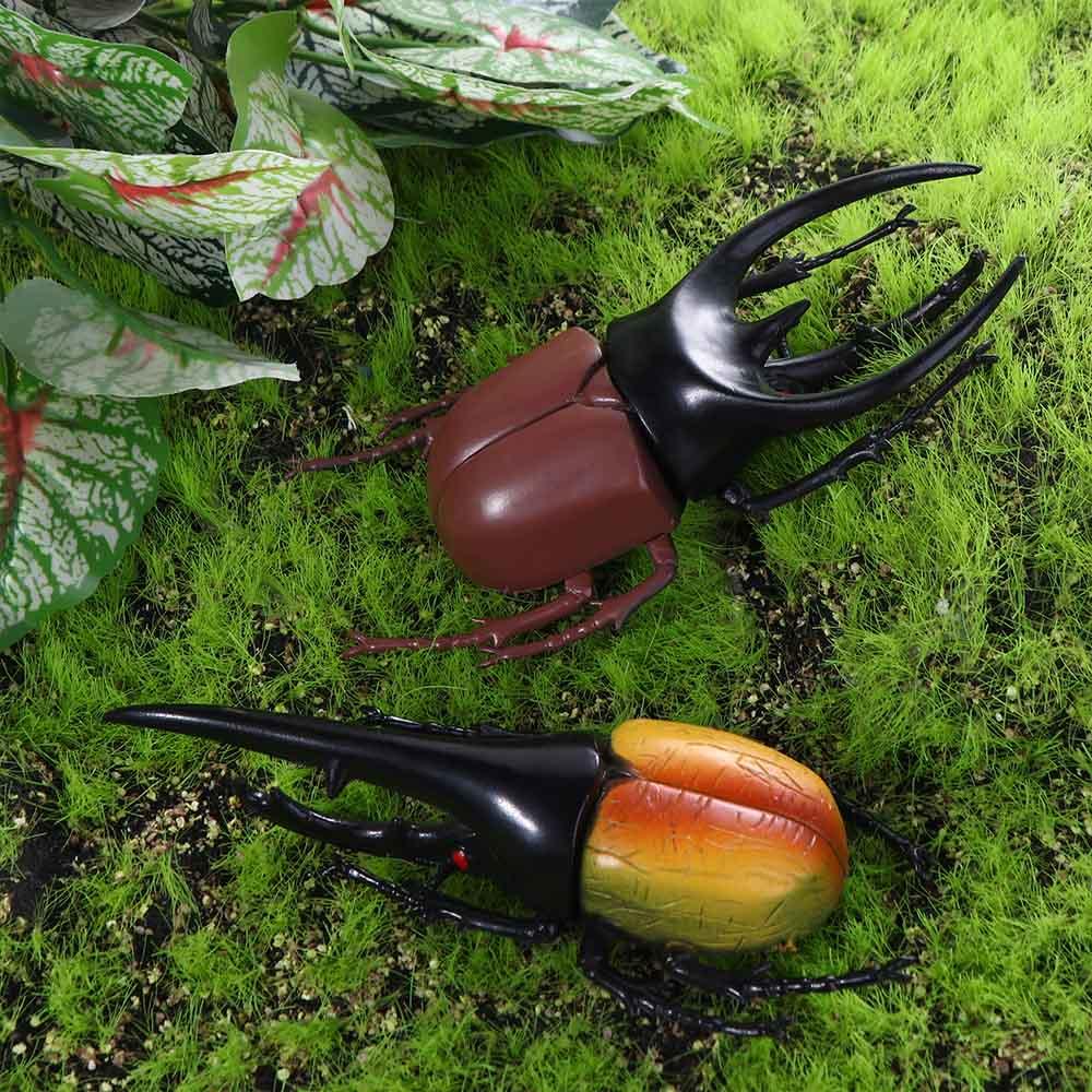 Insect Toy Joke Toys Fake Beetle Beetle Toys Insect Model Special Lifelike Model Simulation Beetle