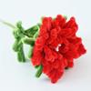 Finished Pipe Cleaner Flower Handmade Chenille Stem Red Peony Flower for Women Mother Wife Valentine's Birthday Wedding Home Decor