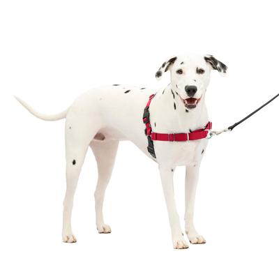 Шлейка PetSafe Easy Walk Красная (ML, и черный)