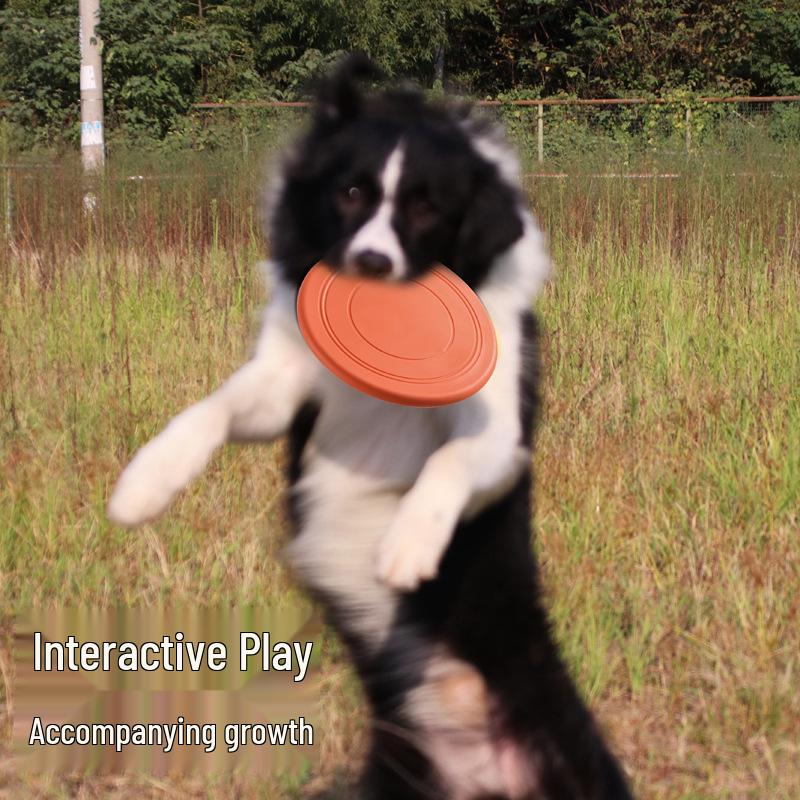 Soft Frisbee Dog Toy: Interactive Floating Training Disc for Puppies and Border Collies