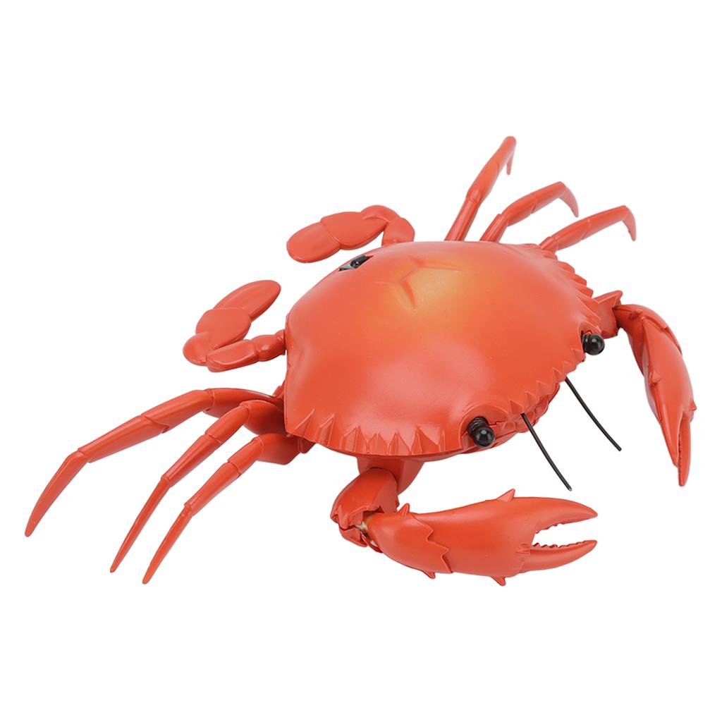 RC Crab Toy Educational Simulated Sea Life Animals Electric Crab Animal Model for Kids Birthday