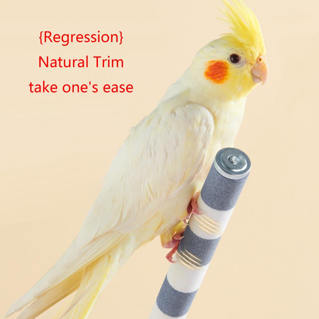 Керамическая подставка для птичьих жердочек, нетоксичная клетка для попугаев, игрушка для шлифовки ногтей, устойчивая скребковая станция для попугаев, зябликов, канареек