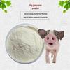 Порошок Экстракта Поджелудочной Железы Свиньи 99% - Пептидный Порошок Доступен со Скидкой при Большом Количестве и Бесплатной Доставкой