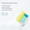 Langsaling Ice Lemon Anti-Sensitive Toothpaste & Toothbrush Set
