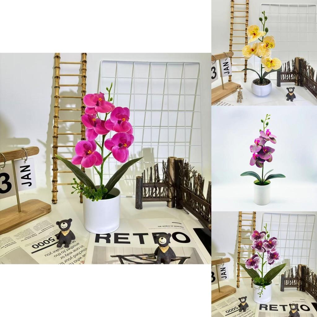 Butterfly Orchid Faux Plant With 3d Printing Technique For Indoor Home Decoration And Photography