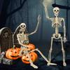 36" Halloween Posable Skeletons Full Body Plastic Human Bone Model with Movable Joints for Yard Haunted House Indoor Outdoor Decor