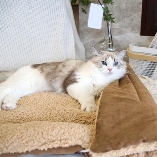 Коврик для кошек, самогреющийся, мягкий, моющийся, успокаивающий складную подушку для кровати для домашних кошек