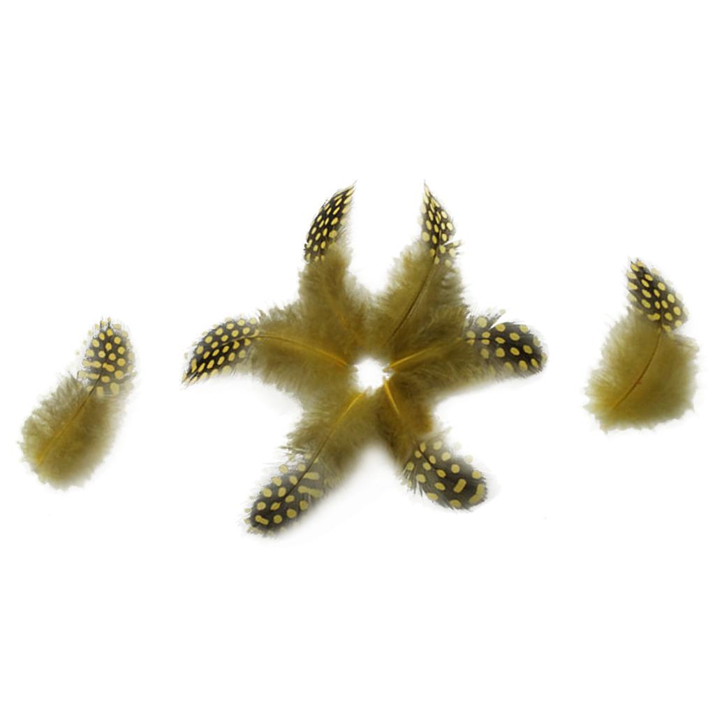 Set of 50 Pheasant Rooster Feathers Chicken Feathers Costume Millinery Craft