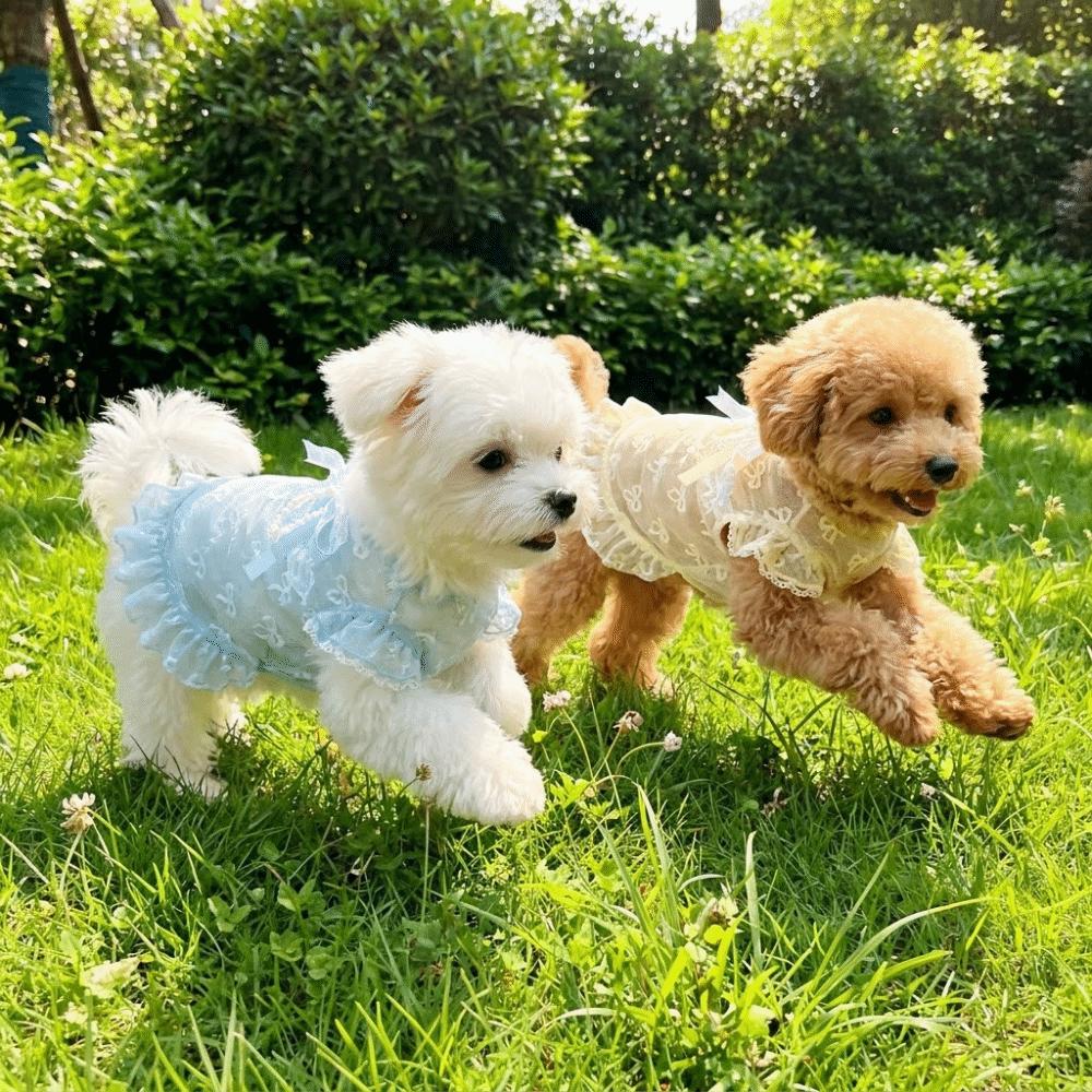 Hollow Out Anti Mosquito Bite Dog Vest UV Protection Anti Shedding Pet Clothing Outdoor