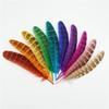 10-15cm Female Pheasant Feathers Jewelry Creation Colored Handicraft Accessories Natural Plumas DIY Holiday Decorations