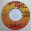 7inch Record ANTHONY CRUZ - Run The Place NONE Mixing Finga Mu 2006 Jamaica Reggae, Ska & Dub Used
