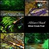 Daiwa Trout Rod Silver Creek Trad 53UL