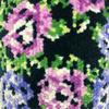 Senko FEELFOOT Garten Glazed Rose 27568 Тапочки, Прибл.. 23.5см - 25см, Черный, Плетение, Дизайн,