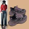 Korean Version of Purple Dad Shoes Women's 2024 Autumn New Platform Super Good-looking Shoes Versatile Casual Sports Shoes