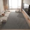 Living Room Carpet Sofa Coffee Table Carpet Simple Wear-resistant Anti Slip Entrance Floor Mat