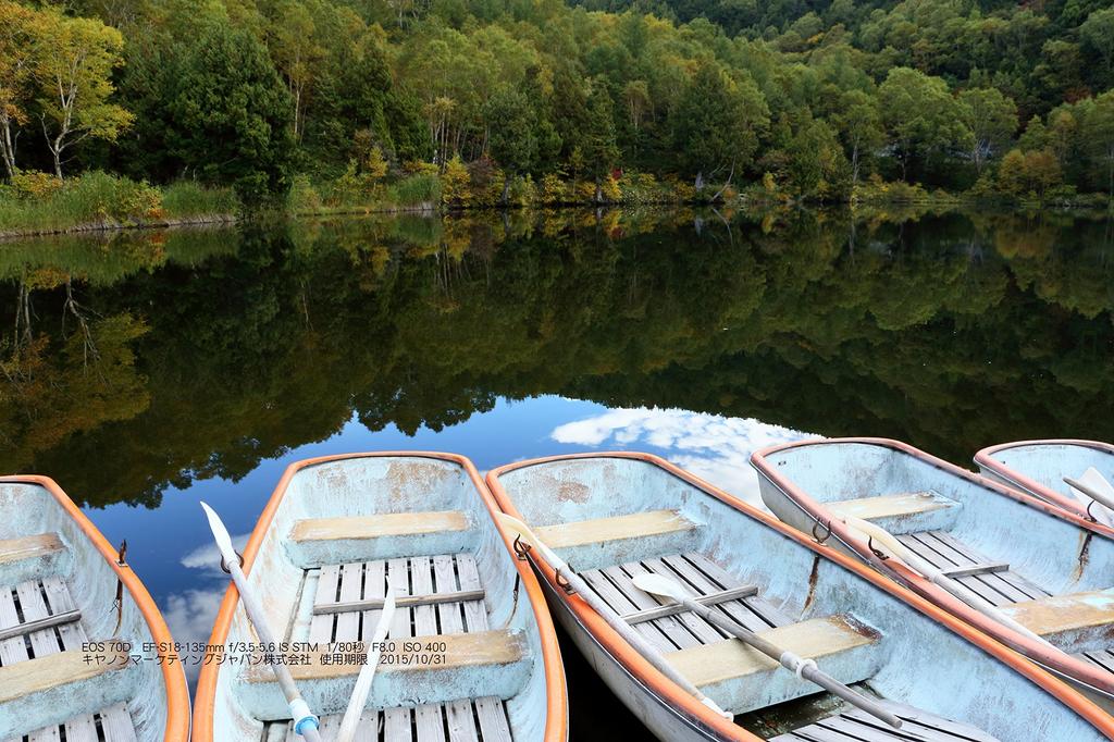 Canon Цифровая зеркальная камера EOS70D корпус черный EOS70D однообъективный