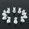 Mini Resin Rabbit Shape Crafts 15pcs Room Decoration Ornaments Micro Landscape Small Animal Cute Gift Crafts 2025