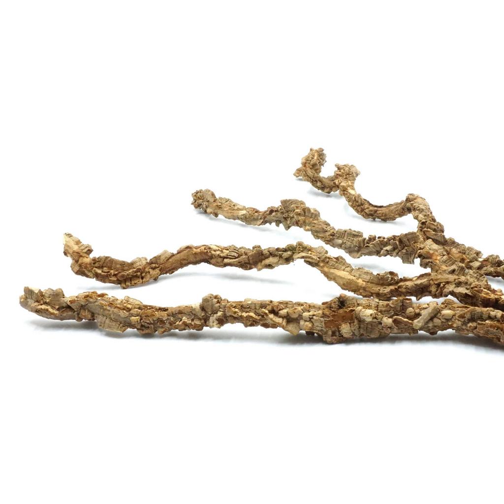 BioCork Cork Liana 50cm