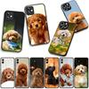 Phone Cover Lovely Poodle Dog Pet Casing for Apple iPhone 17 16 11 Pro XS Max XR 6 7 8 Plus + 16E SE 2020 Air 5 8+ Case