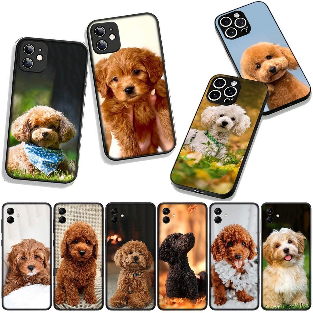 Phone Cover Lovely Poodle Dog Pet Casing for Apple iPhone 17 16 11 Pro XS Max XR 6 7 8 Plus + 16E SE 2020 Air 5 8+ Case