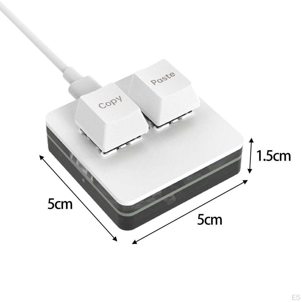 Copy and Paste 2 Key Keyboard Mechanical Gaming Type C Programming for