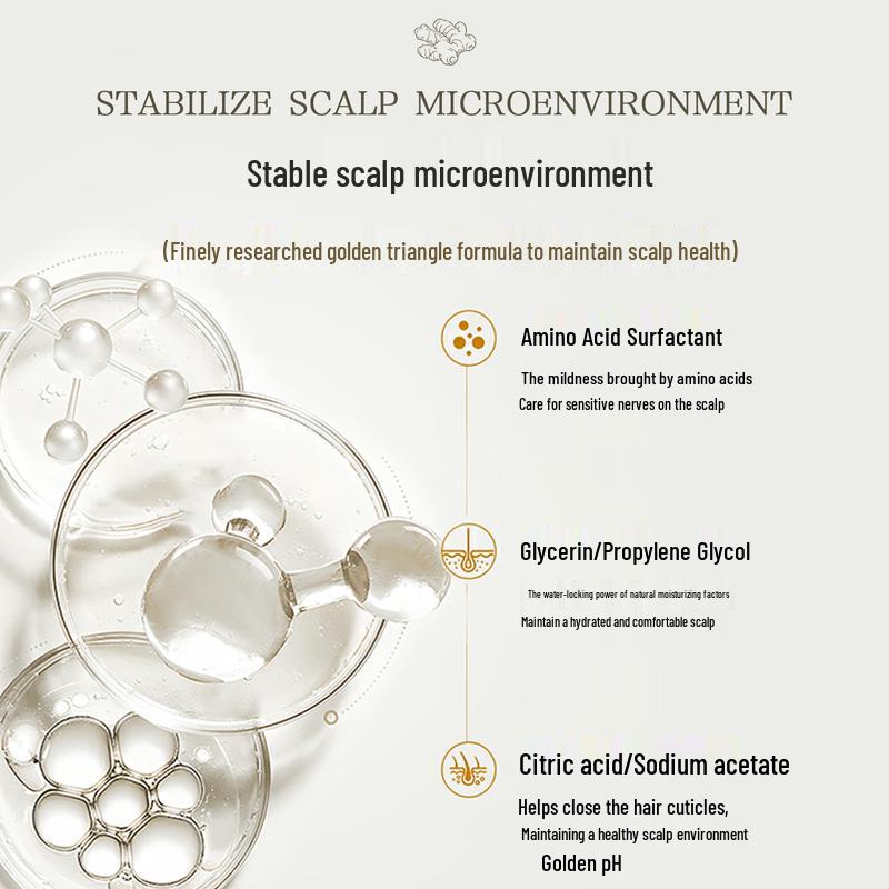 Японский импортный шампунь для волос AnZhili 500 мл