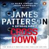 Cross Down by James Patterson Paperback Book 9781529160031