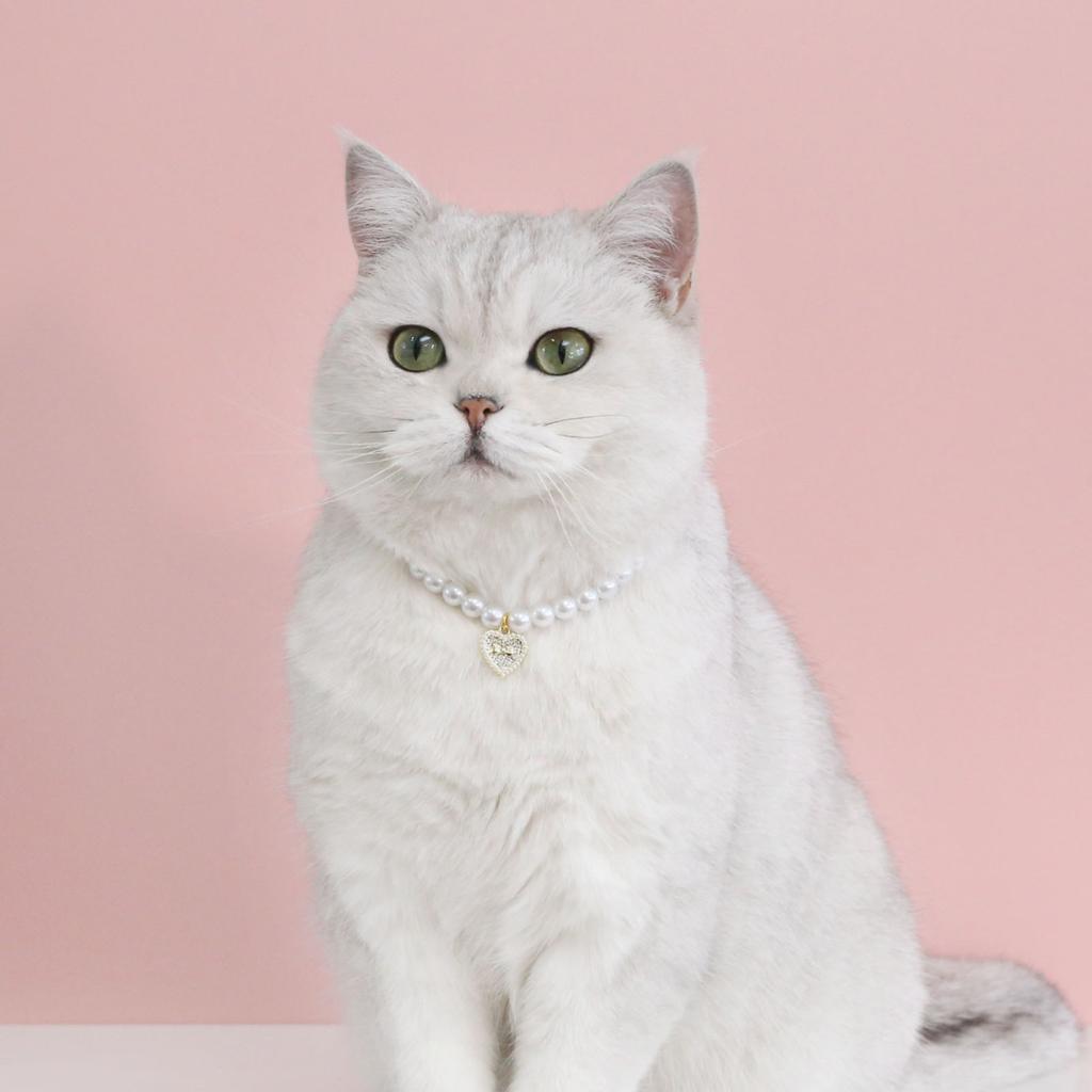 Привлекательный изысканный кулон с вишней для кошек и собак, ошейник с искусственным жемчугом, товары для домашних животных