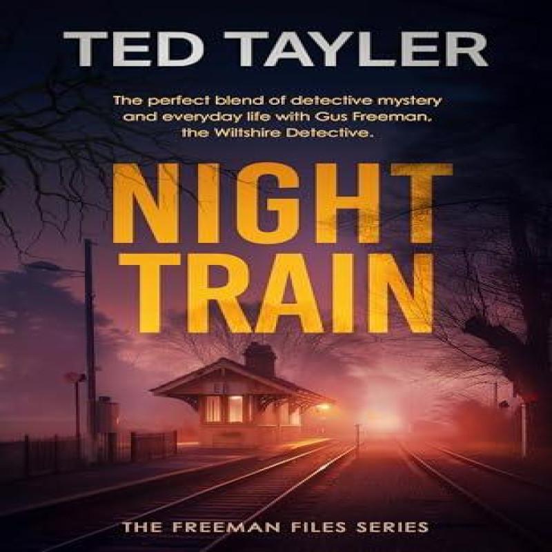 Night Train by Ted Tayler Paperback Book 9781036704957