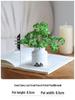 Miniature Succulent Bonsai Desk Ornament: Green Plant Props for Home or Office Decor