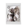 Torchons - Chats Choupinou - Lot de 3 - 100% Coton - 50x70cm - Lavable à 40°