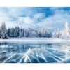 5D DIY Алмазная картина Полный квадратный дрель Алмазная мозаика Зимний пейзаж Вышивка крестиком Алмазная вышивка Домашний декор