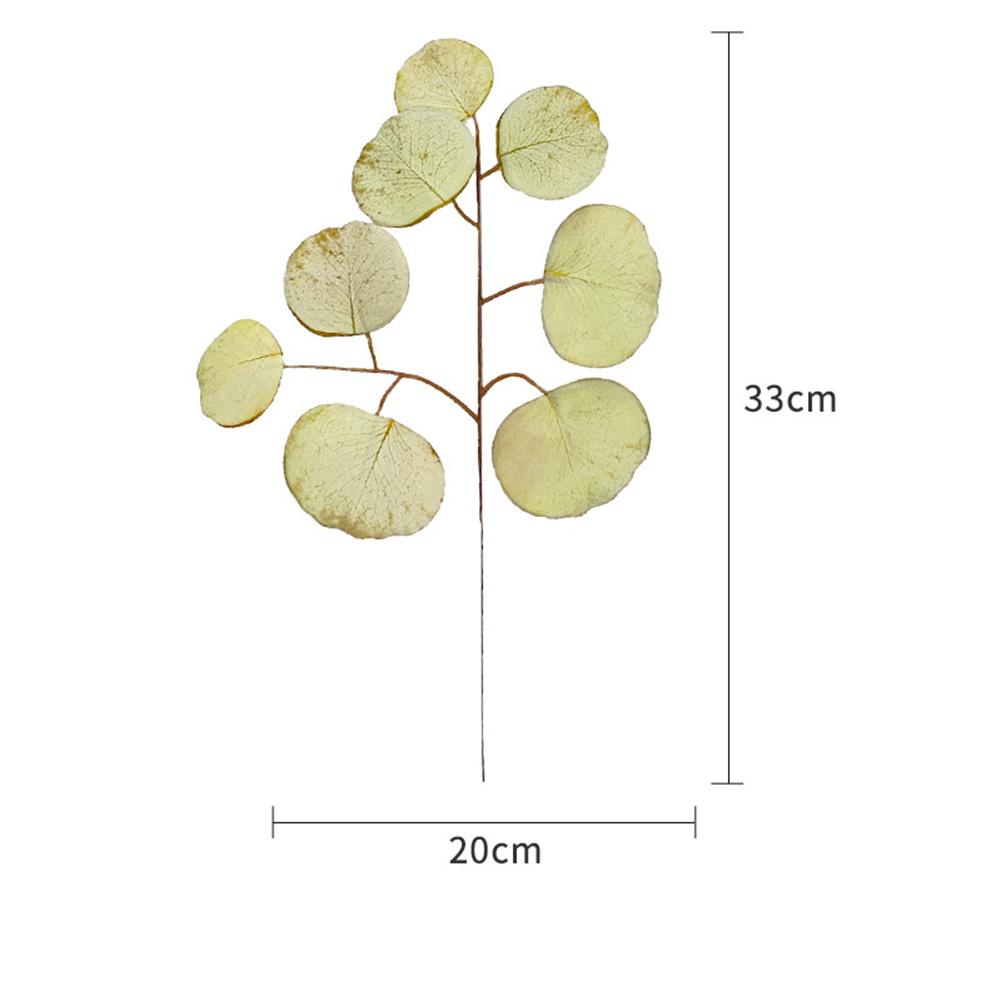 Simulation Eucalyptus Colored Leaves Photo Shoot Photography Background Props Tabletop Home Decor