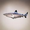 Shark Stainless Steel Wall Art Decoration - Elegant Hanging Decor For Home Interiors And Unique Wall Decorations
