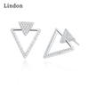 Lindon Zircon Copper Alloy Earrings Drop Earrings For Women Wedding Party Gifts