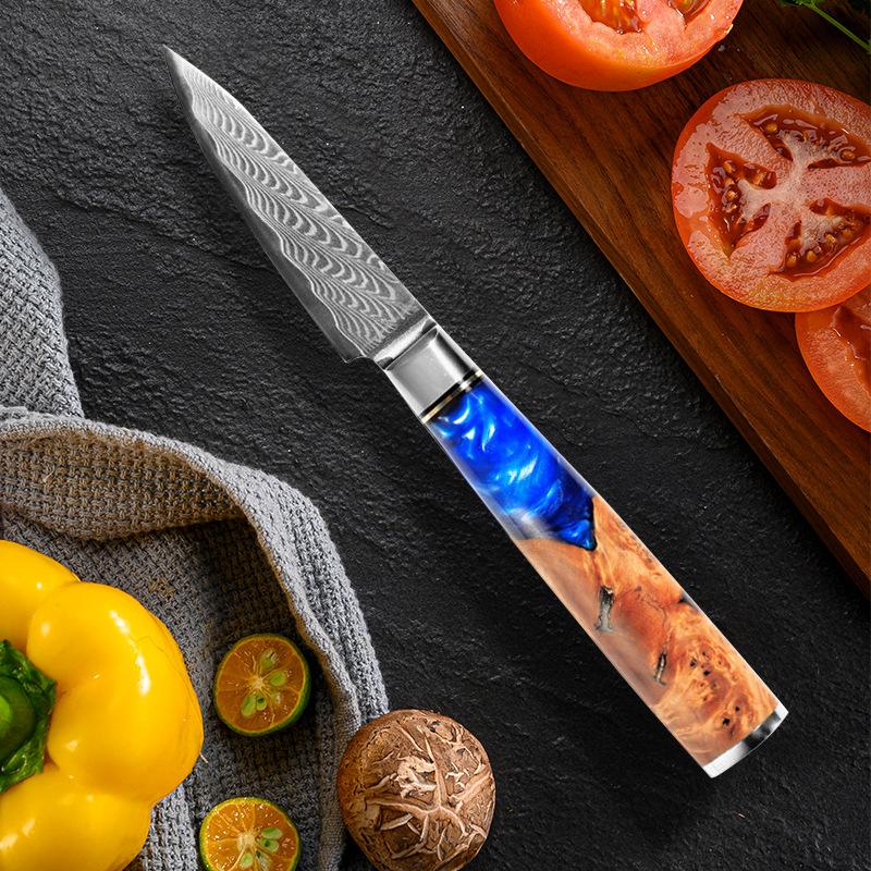 Fruit Knife 67 Layers Damascus Steel Kitchen Utility Knives Slicing Paring Knife