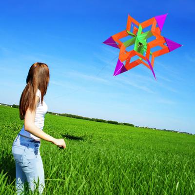 3D Lotus Kite Легко управлять Сверхпрочный открытый пляж парк газон дети взрослые игрушка воздушный змей семья малышей мальчики девочки начинающие красочный летающий змей