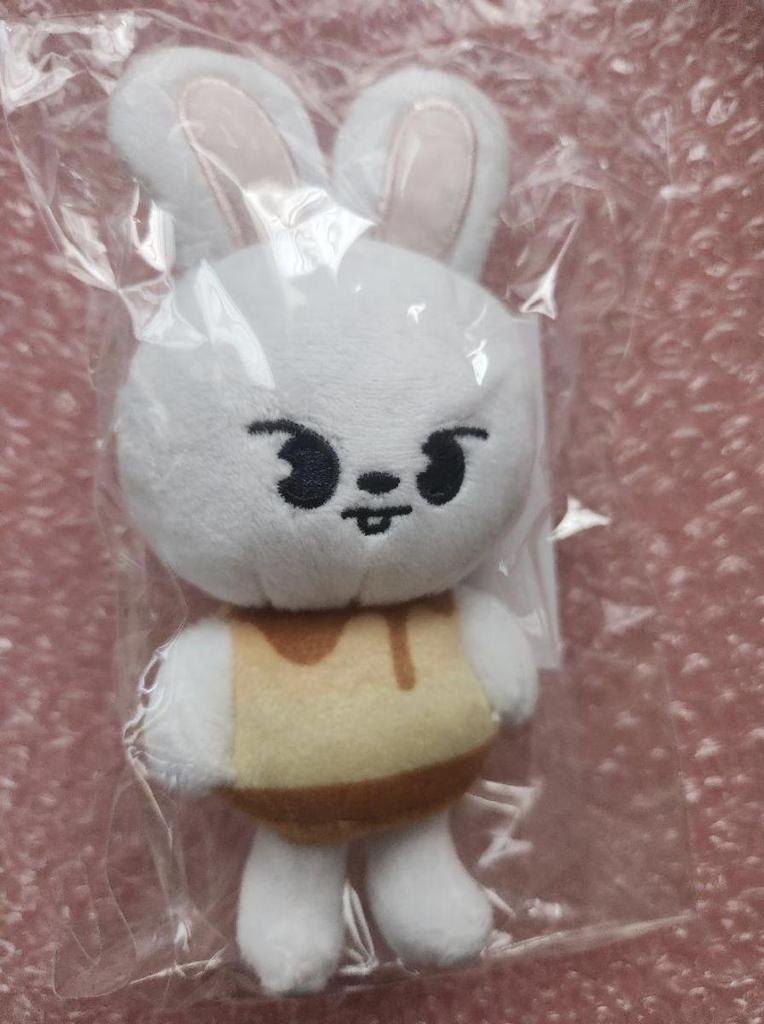 Stray Kids MANIAC ENCORE Official MD SKZOO BAG CHARM Complete Set Plush Pudding Limited JAPAN SKZ New