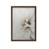 Delicate White Dahlia Delicate White Dahlia, 30X40 Cm, Gold Aluminum Frame, 230 Gsm Matte Paper