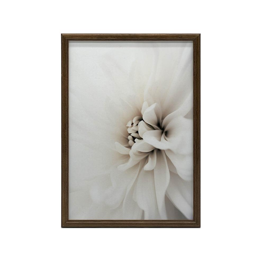 Delicate White Dahlia Delicate White Dahlia, 30X40 Cm, Gold Aluminum Frame, 230 Gsm Matte Paper