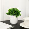 Fake Flower False Plant Pot Plastic Plant Bonsai Plants Mini Artificial Plant Bonsai  Garden
