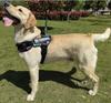 New Pet Supplies Dog Chest Strap Traction Large Medium and Small Dogs Outing Vest Traction