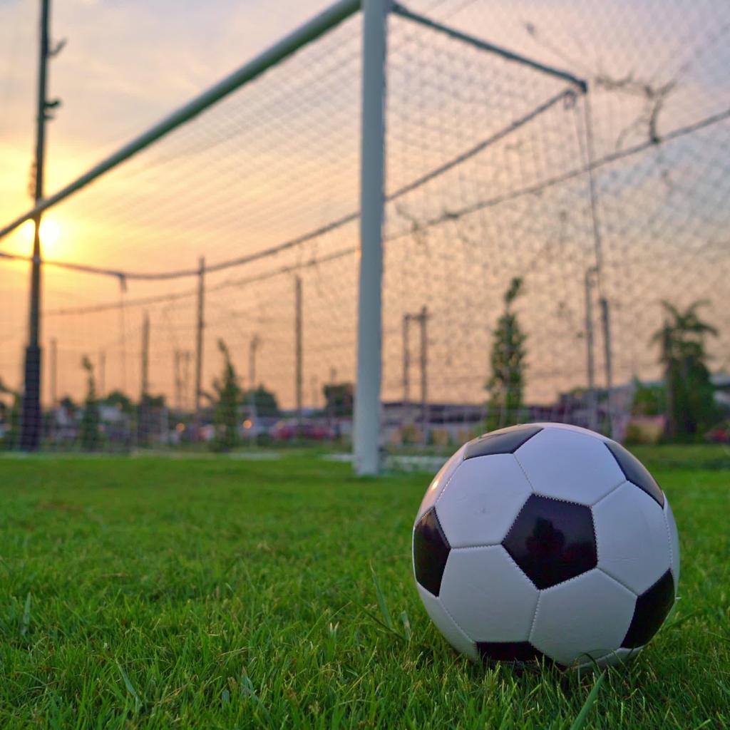 ТАИЛАНД Национальный футбол Футбольная тренировка ДЖЕРСИ CHEER Фанатская версия Быстросохнущая рубашка Поло Полиэстер Униформа с короткими рукавами Логотип слона Спорт на открытом воздухе