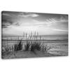 Canvas Print Grass On Beach Grey