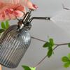 Garden Watering Plant Waterer Spray Bottle Glass Water Spray Bottle for Plants Hand Pressure Indoor Garden Mister Small Flower