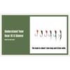 6pcs Brass Bead Head Epoxy Nymph Fast Sinking Fly Fishing Trout