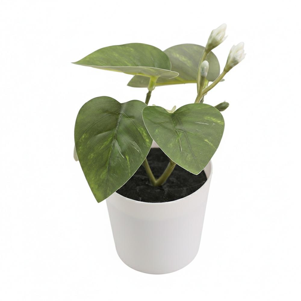 Green Green Plant Potted White Flowerpot Simulation Plant Potted Creative Desktop Ornament Gift