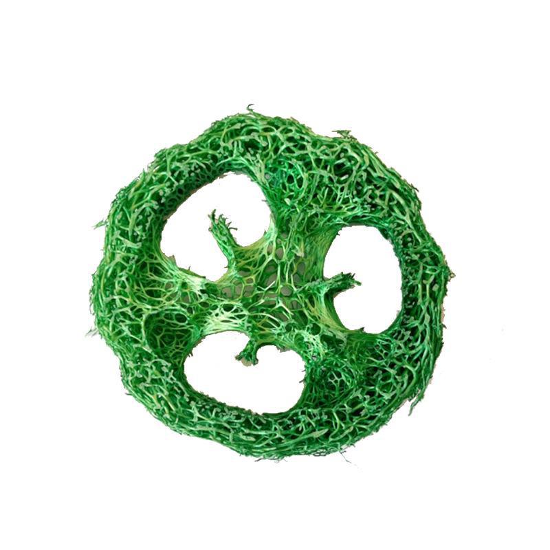 Игрушки для жевания из натуральной люфы для мелких домашних животных: Чистящие средства для зубов хомяков, собак, кошек и попугаев