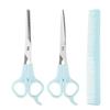 Set Hairdressing Scissors 6 Inch Scissors Kit Tool For Cutting Thinning Hair Comb Accessories Salon Hairdressing Shears