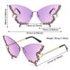 Y2K Eyewear Butterfly Sunglasses Purple Sunglasses for Women Bling Sun Glasses Ladies Shades